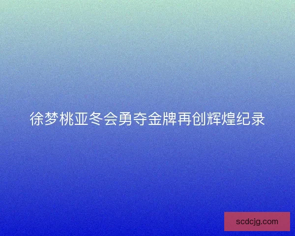 徐梦桃亚冬会勇夺金牌再创辉煌纪录